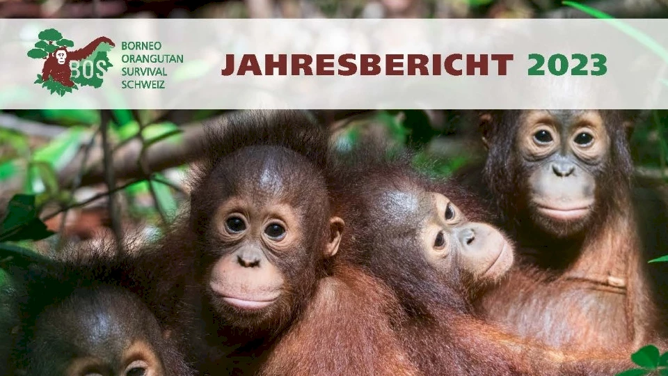 Titelbild Jahresbericht 2023