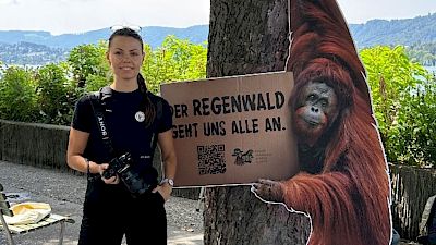 Es war reiner Zufall – oder Schicksal?